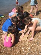 Small pirates reading a treasure map