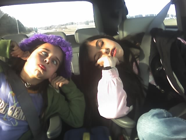 crazy kids in back seat
