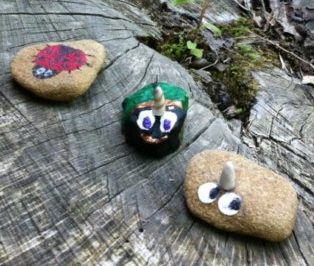 pet rock close up - unicorn ladybug