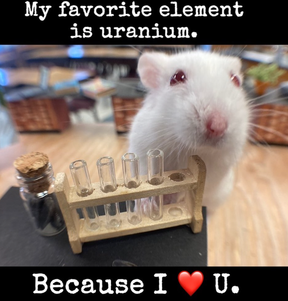 Chemistry Critter tiny hamster in a miniature laboratory.  "Uranium is my favorite element. Because I heart U".  #chemistryjokes